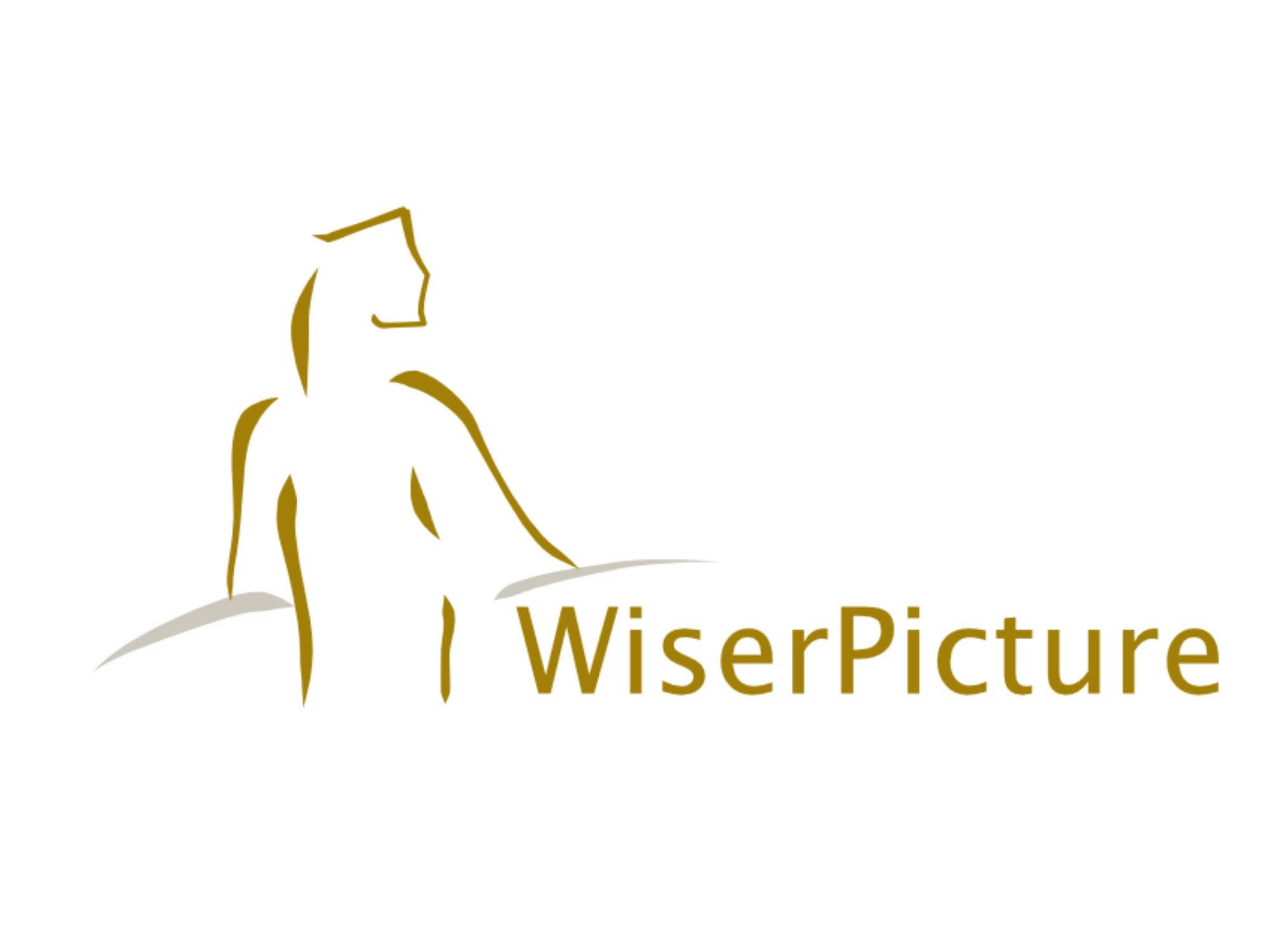 WiserPicture